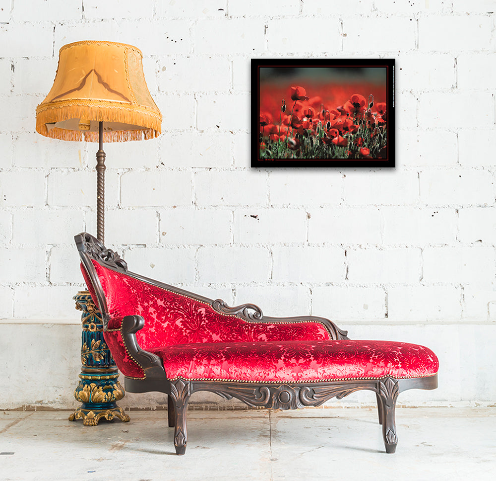 Affiche : "Coquelicots en Provence" de Gilles MARTIN-RAGET