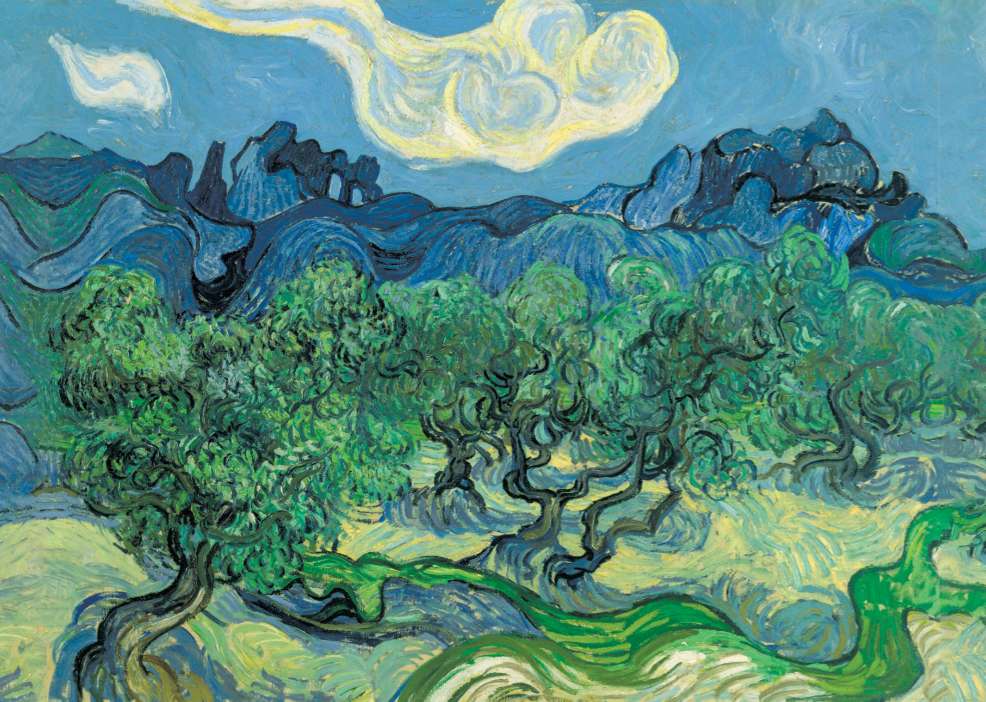 Carte Postale d'Art : "Champs d’oliviers dans les Alpilles" de Vincent VAN GOGH