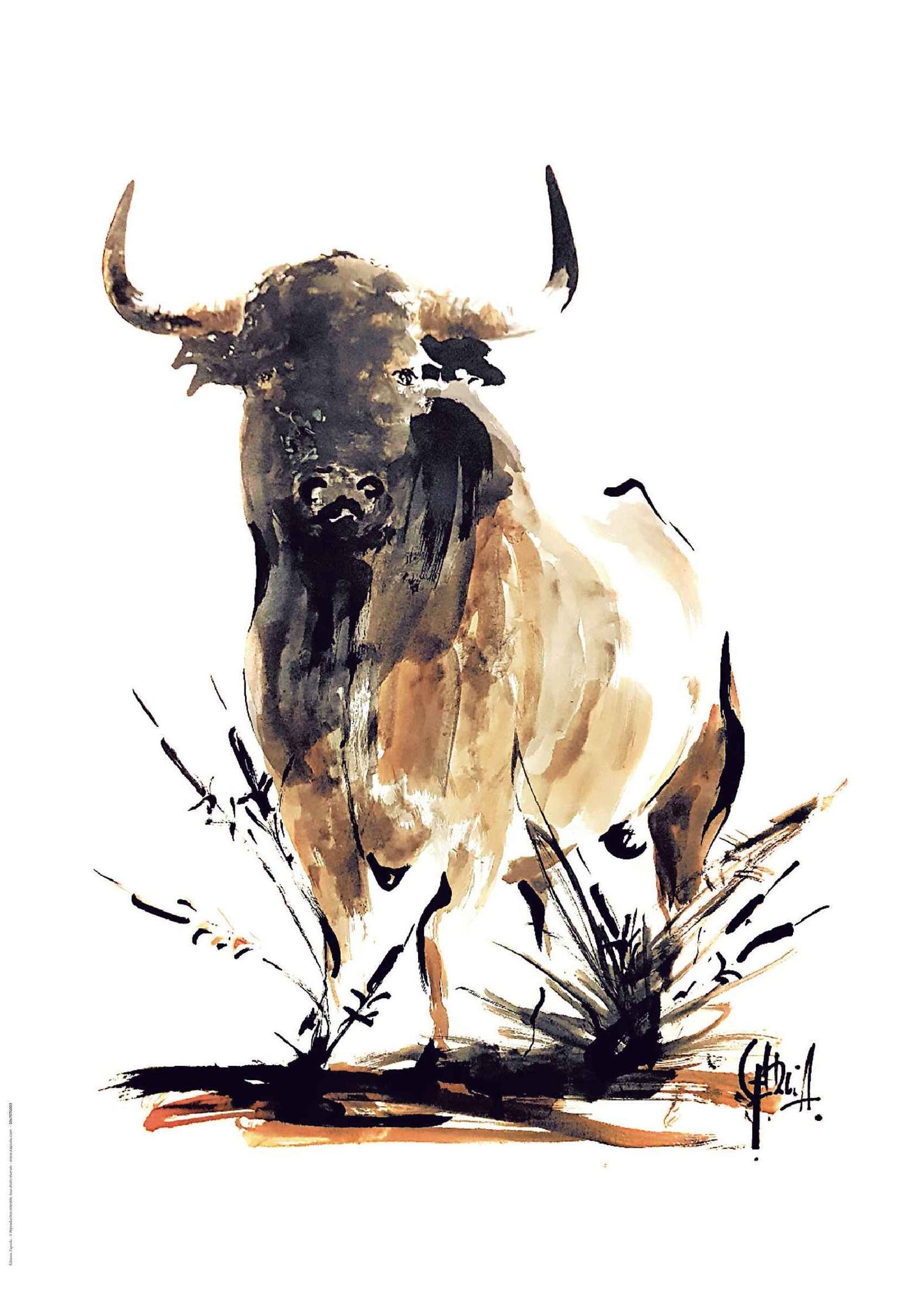 Reproduction d'Art : "Toro Bravo" de Tom GARCIA