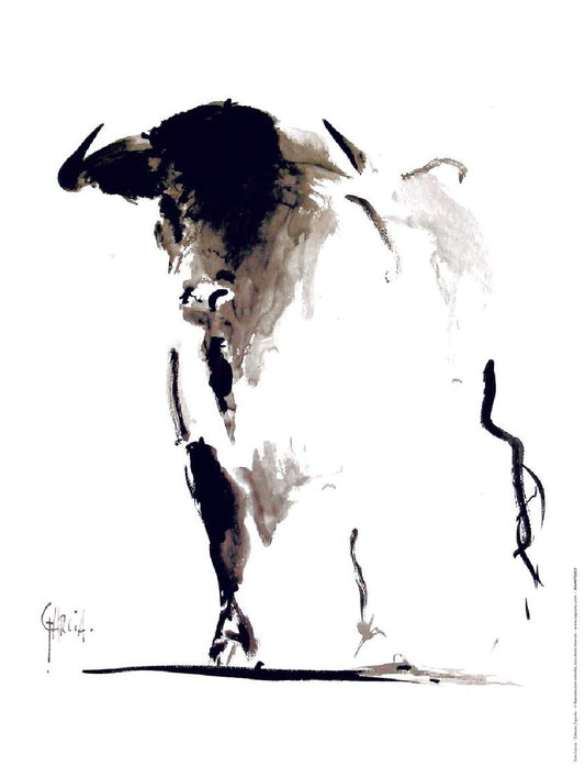 Reproduction d'Art : "Toro” de Tom GARCIA