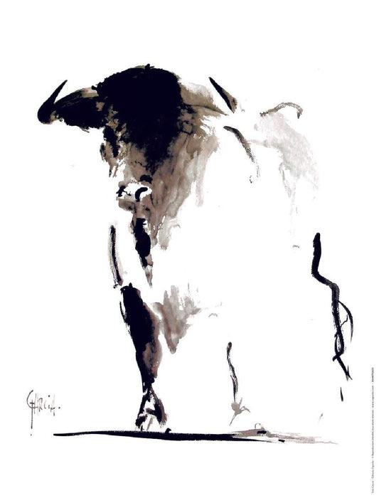 Carte Postale d'Art : "Toro” de Tom GARCIA