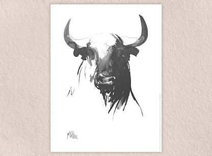 Reproduction d'Art : "Cabessa de Toro Blanco y Negro" de Gil PIRÈS