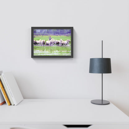 Carte Postale : "Chevaux Camargue au marais avec un gardian" de Gilles MARTIN-RAGET