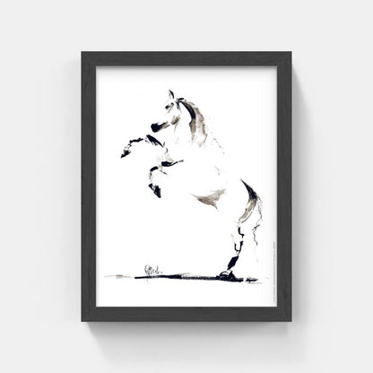 Carte Postale : "Cheval” de Tom GARCIA