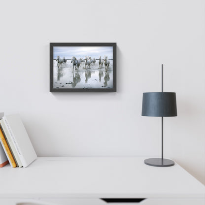 Carte Postale : "Chevaux Camargue sur la plage" de VALICAMARGUE