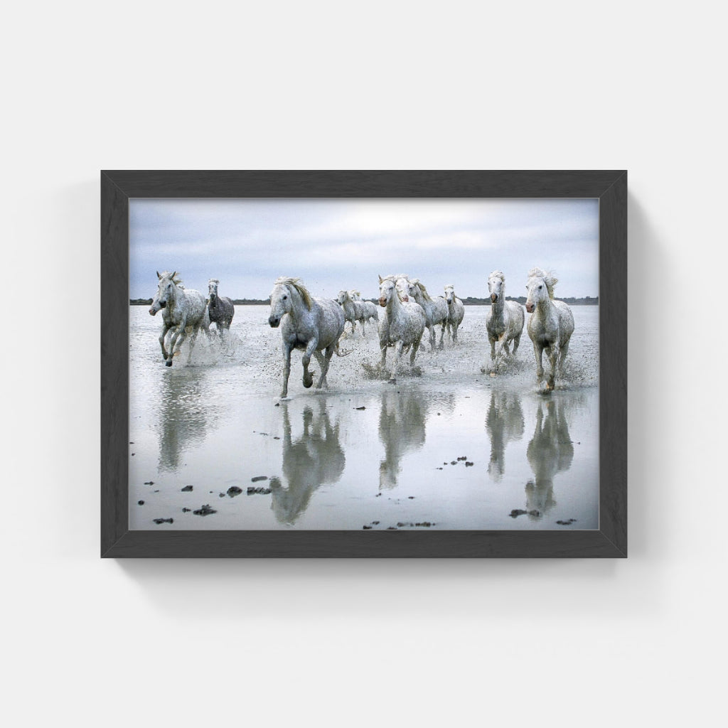 Carte Postale : "Chevaux Camargue sur la plage" de VALICAMARGUE