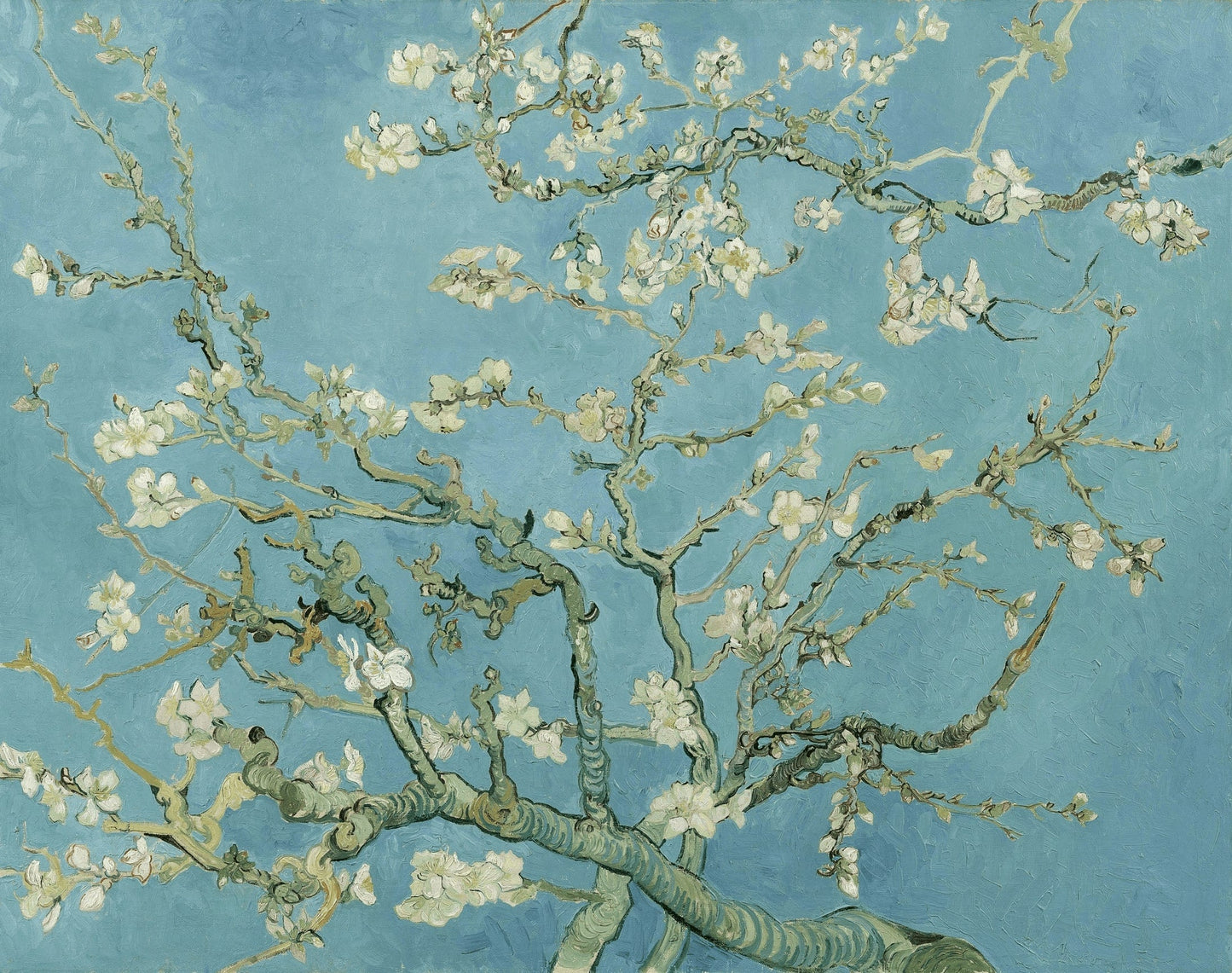 Carte Postale d'Art : "Amandier en fleurs" de Vincent VAN GOGH