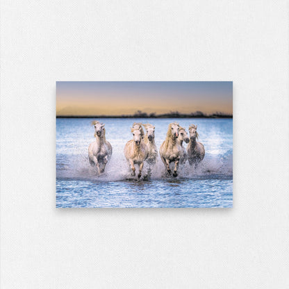 Carte Postale "Chevaux Camargue sur la Plage" de Ed RECO