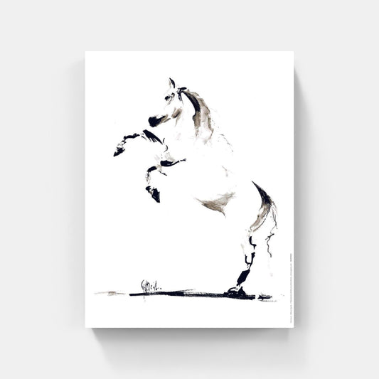 Affiche "Cheval” de Tom GARCIA