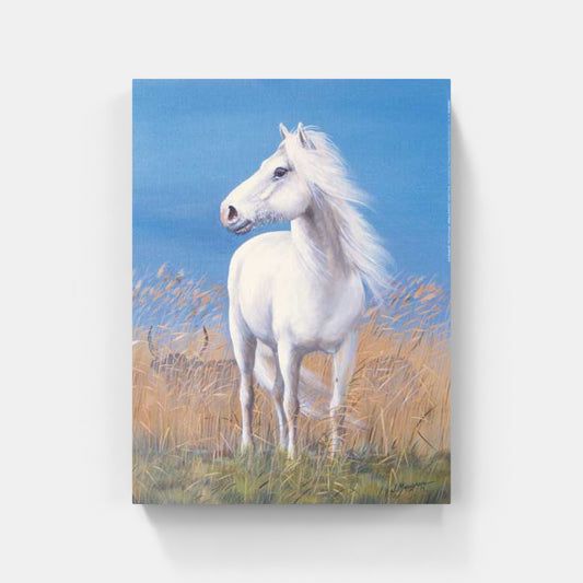 Affiche "Cheval Camargue" de Jean MARIGNAN