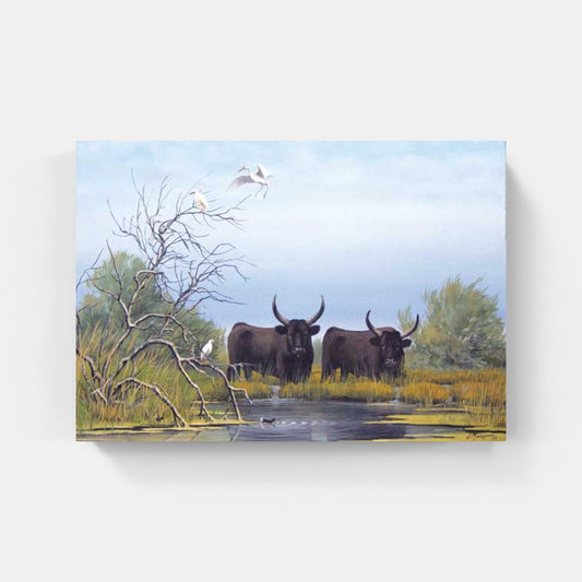Affiche "Taureaux de Camargue au Marais" de Jean MARIGNAN