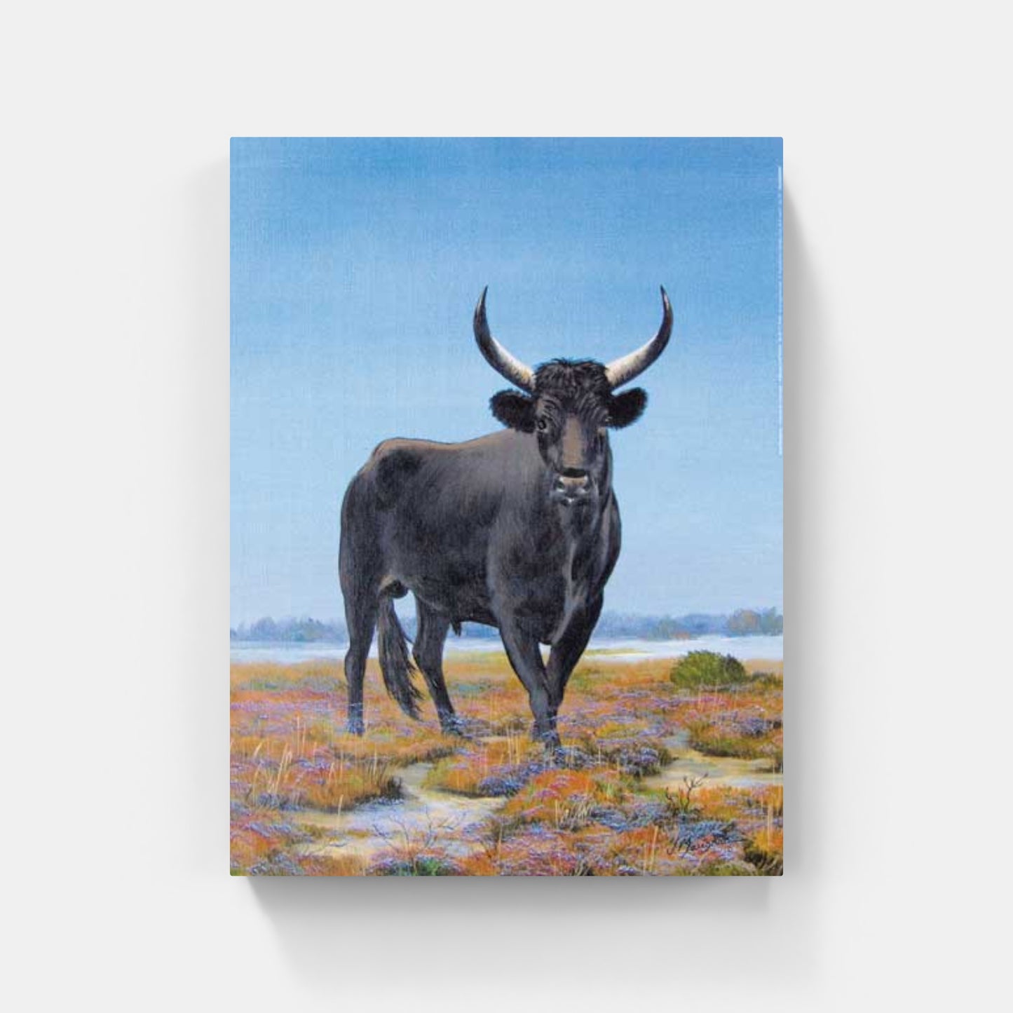 Affiche "Taureau de Camargue" de Jean MARIGNAN