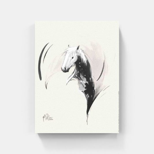 Affiche "Star de Camargue" de Gil PIRÈS