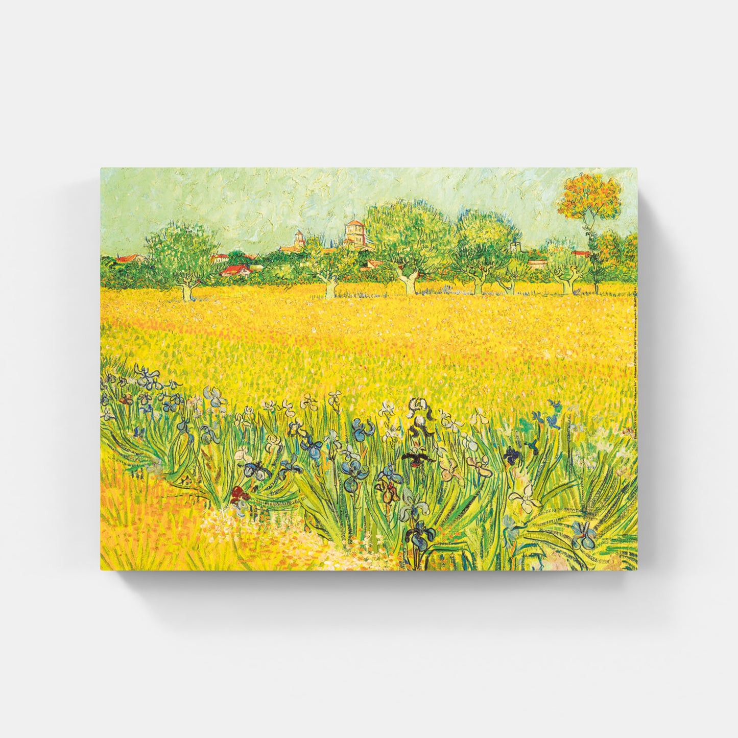 Affiche "Vue d'Arles avec Iris" de Vincent VAN GOGH
