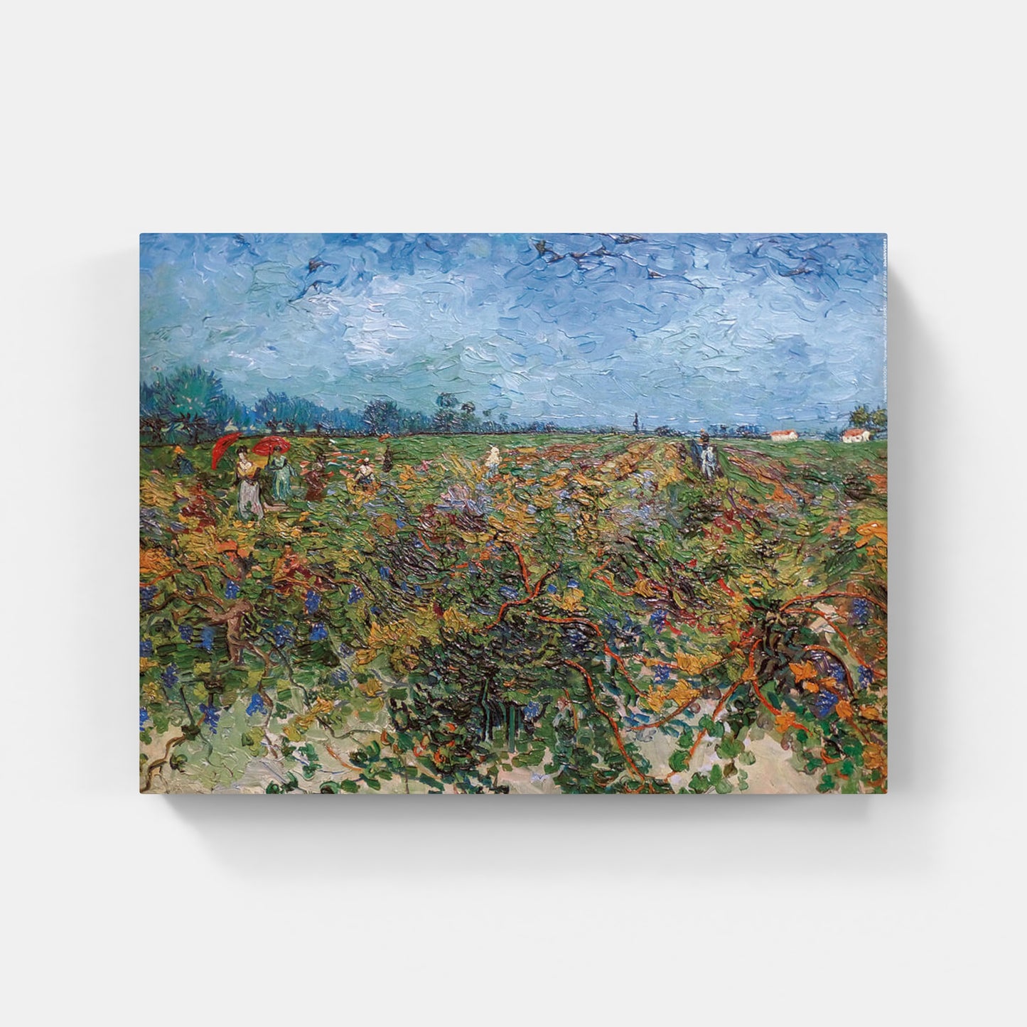 Affiche "Vigne verte" de Vincent VAN GOGH