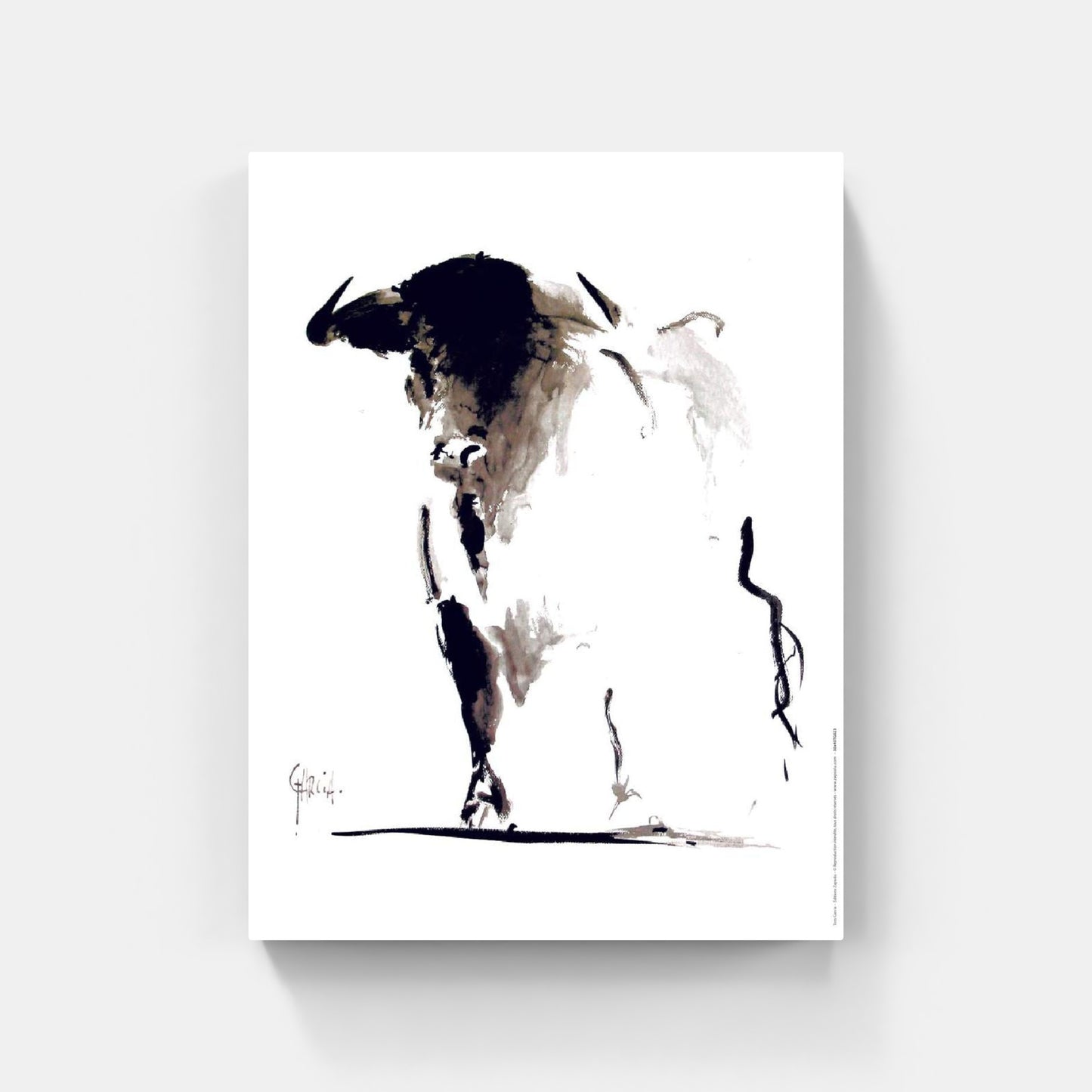 Affiche "Toro” de Tom GARCIA