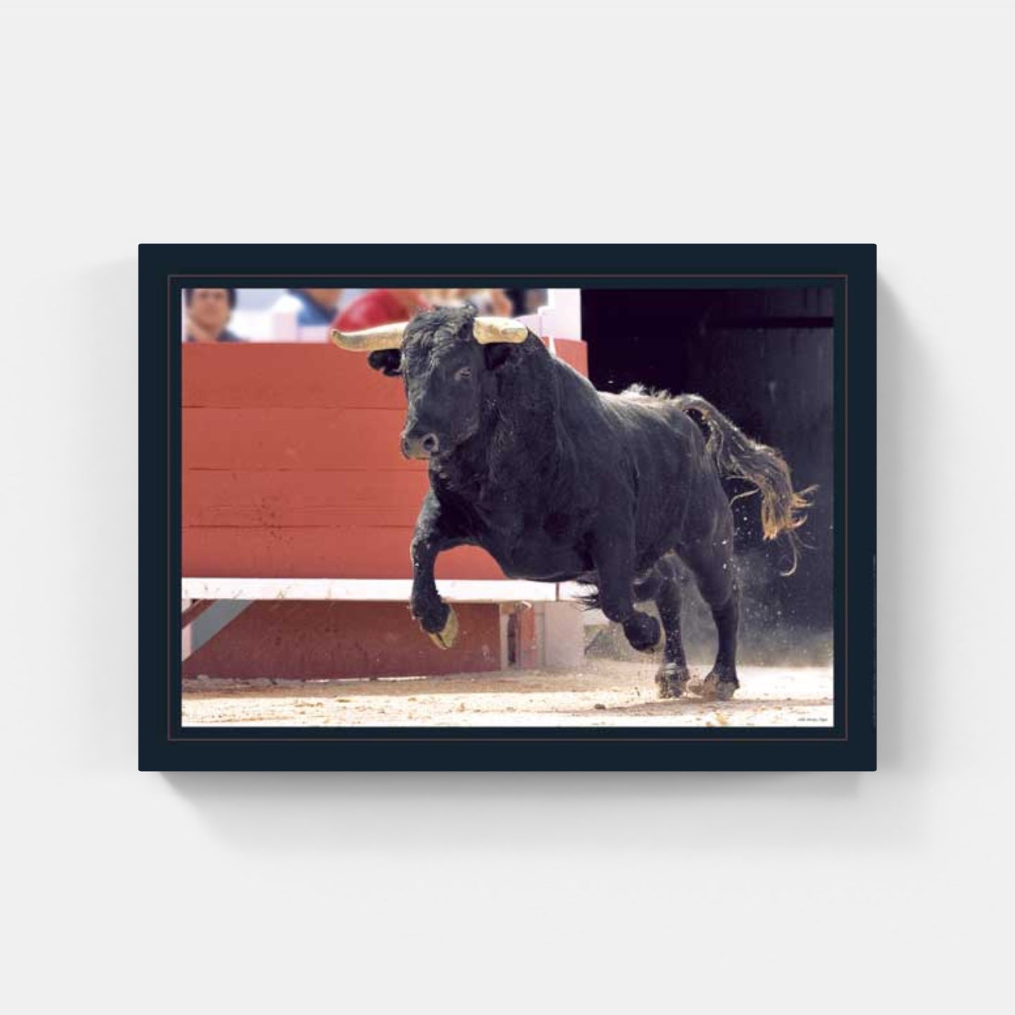 Affiche : "La Sortie du Toro" de Gilles MARTIN-RAGET