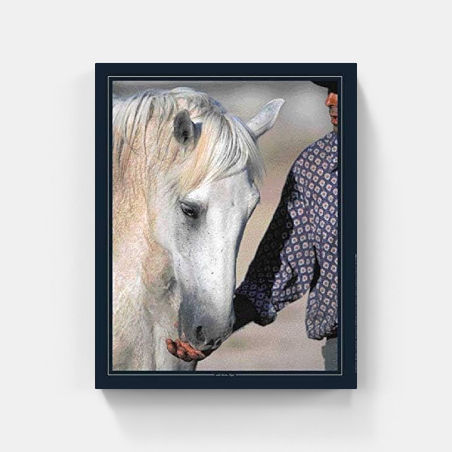 Affiche : "Gardian et son Cheval Camargue" de Gilles MARTIN-RAGET