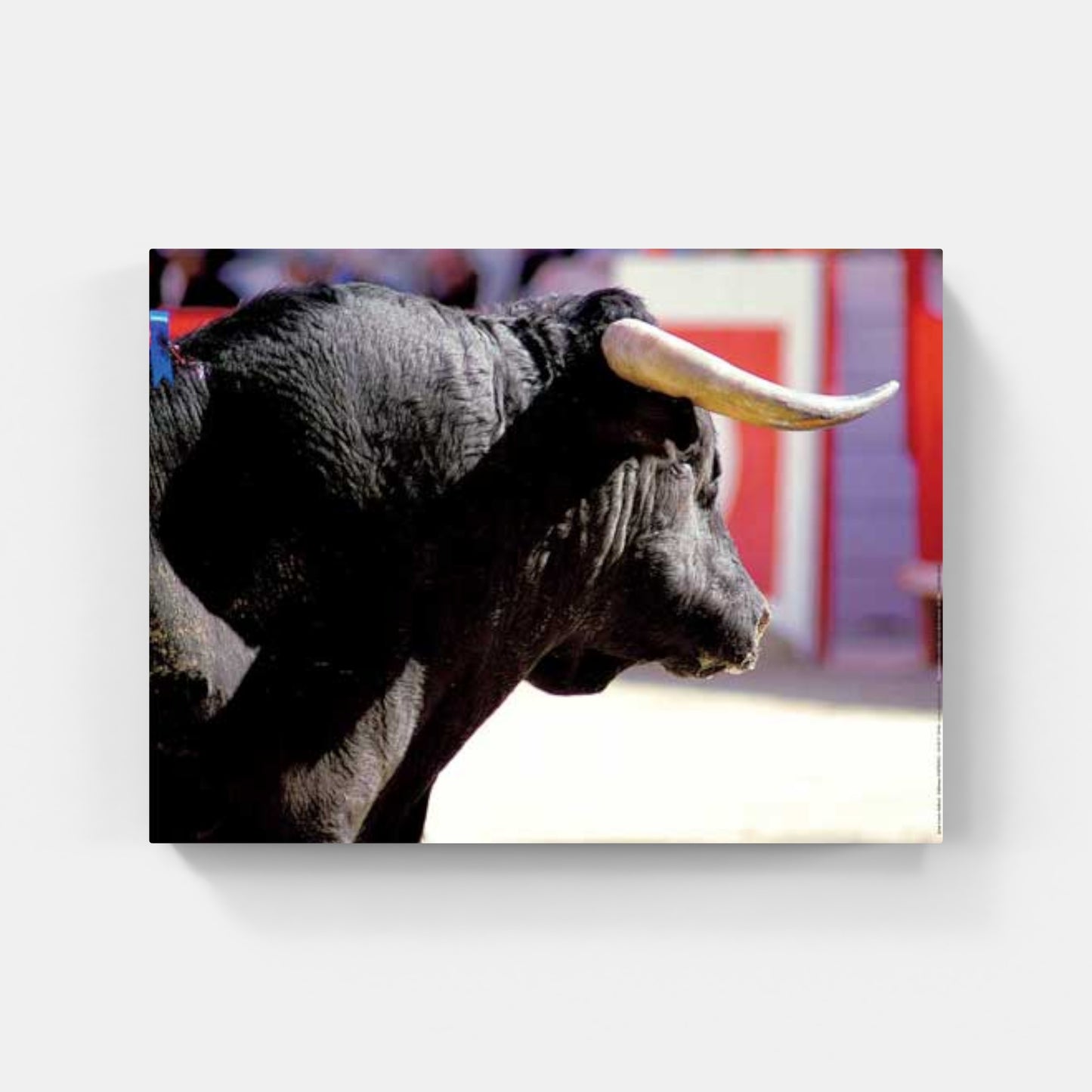 Affiche : "El Toro" de Jean-Louis AUBERT