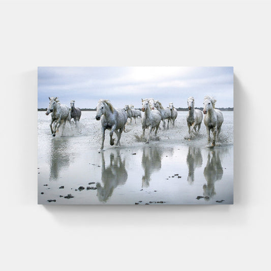 Affiche : "Chevaux Camargue sur la plage" de VALICAMARGUE