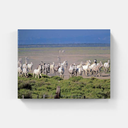 Affiche : "Chevaux Camargue au Galop" de Gilles MARTIN-RAGET