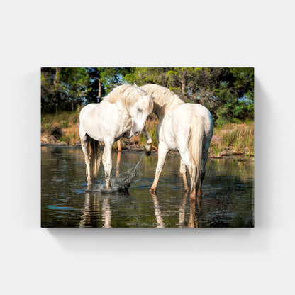 Affiche : "Chevaux Camargue amoureux" de VALICAMARGUE