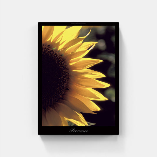 Affiche : "Tournesol" de Gilles MARTIN-RAGET