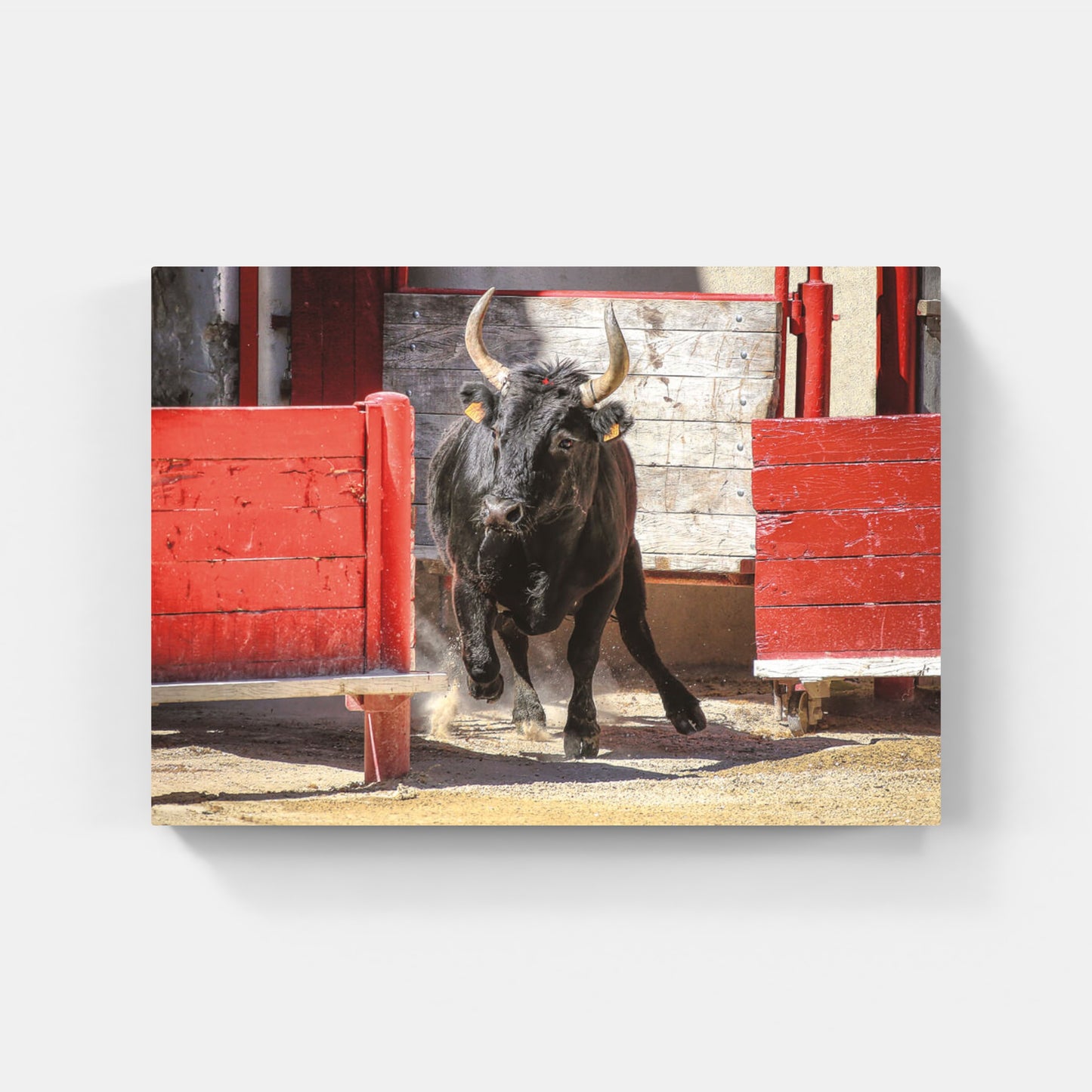 Affiche : "Taureau de Camargue dans l'arène" de VALICAMARGUE