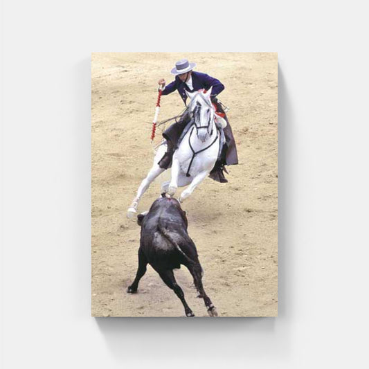 Affiche : "Picador face au toro" de Gilles MARTIN-RAGET