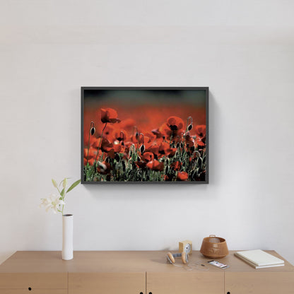 Affiche : "Coquelicots en Provence" de Gilles MARTIN-RAGET