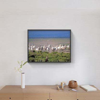 Affiche : "Chevaux Camargue au Galop" de Gilles MARTIN-RAGET