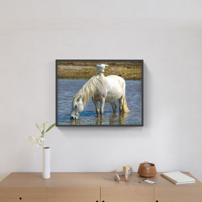 Affiche : "Cheval Camargue" de VALICAMARGUE