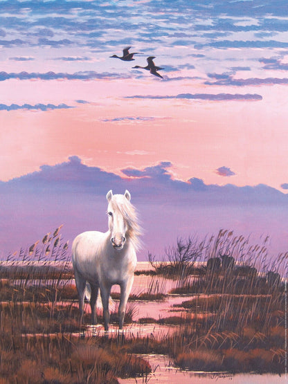 Affiche "Cheval Camargue au soleil couchant" de Jean MARIGNAN