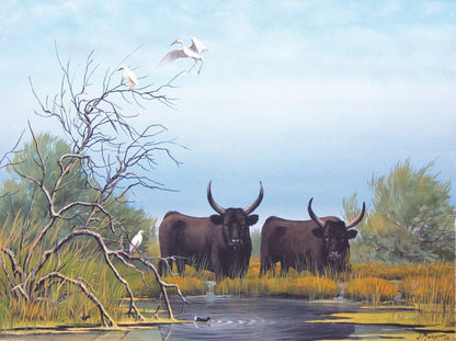 Reproduction d'Art : "Taureaux de Camargue au Marais" de Jean MARIGNAN