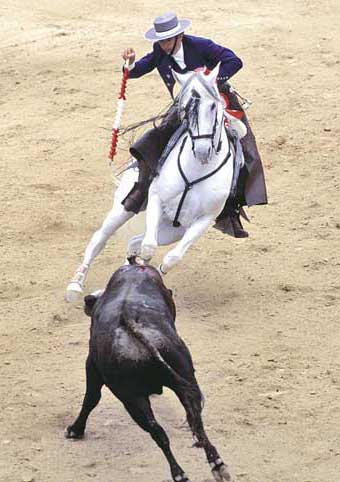 Carte Postale d'Art : "Picador face au toro" de Gilles MARTIN-RAGET