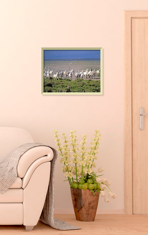 Photographie d'Art : "Chevaux Camargue au Galop" de Gilles MARTIN-RAGET