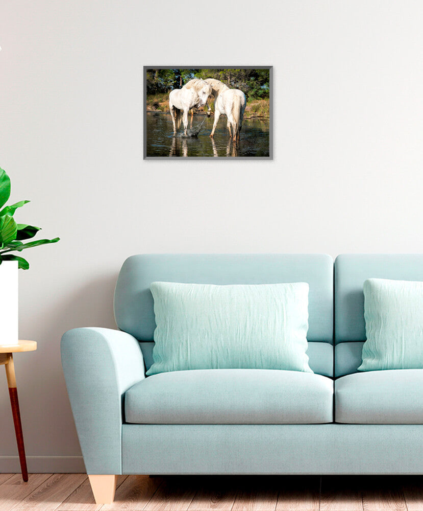 Photographie d'Art : "Chevaux Camargue amoureux" de VALICAMARGUE